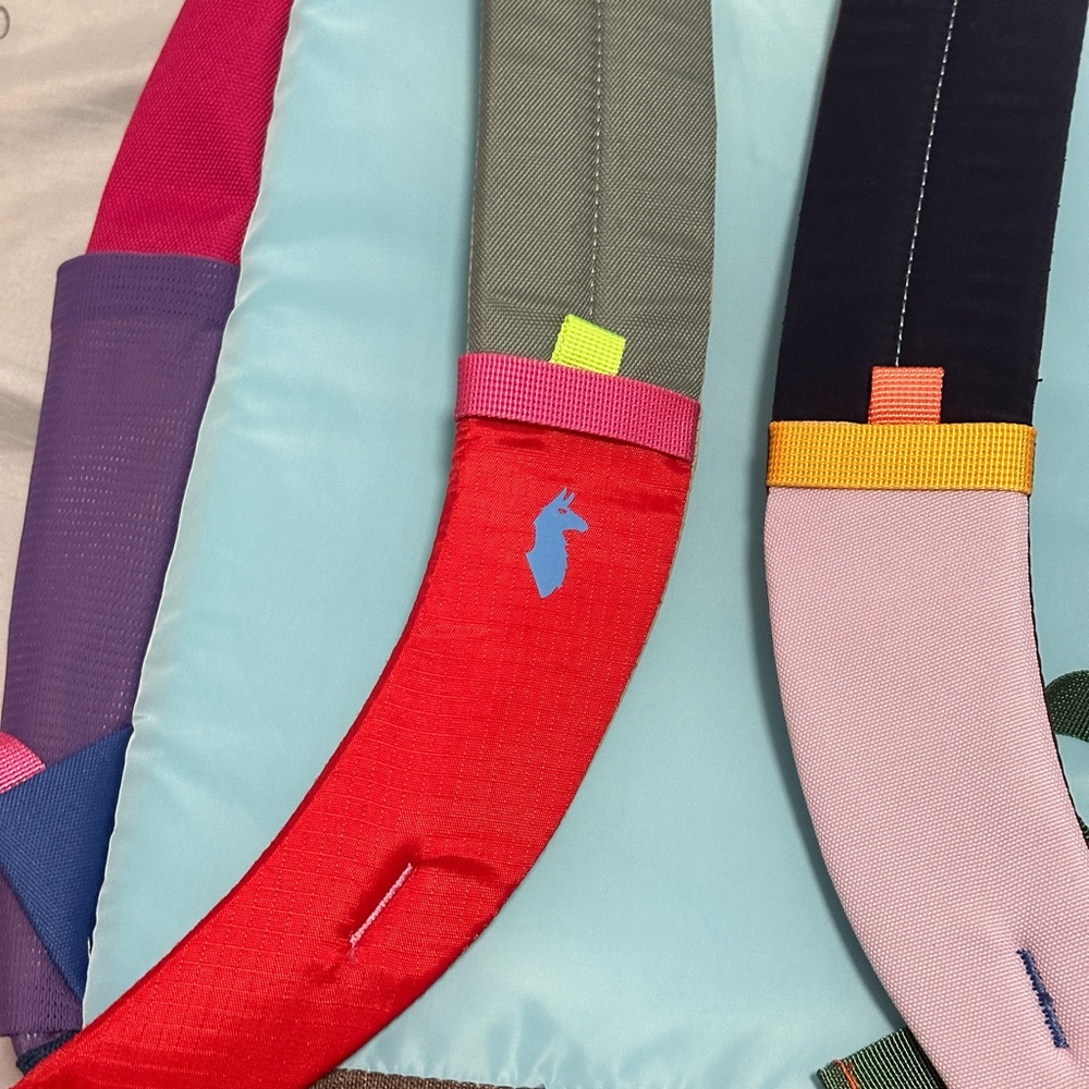 Cotopaxi Multicolor Backpack with Yellow and Pink Accents - Picture 5 of 5